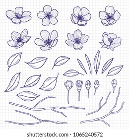Sketch style flowering cherry or apple tree flowers, branches and leaves on notebook page .Hand drawn spring elements. Vector illustration