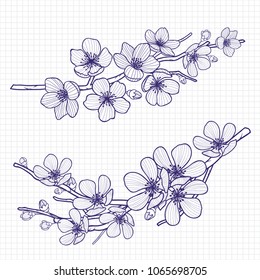 Sketch style flowering cherry or apple tree branch on notebook page . Hand drawn spring elements. Vector illustration