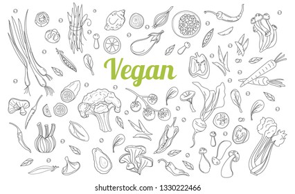 Sketch style. Hand drawn set of healthy food ingredient doodles in vector. Healthy diet vegan food, veggie protein sources. Bio, Ecology, Organic logos and icons, labels, tags. Vegetarian Big Set.