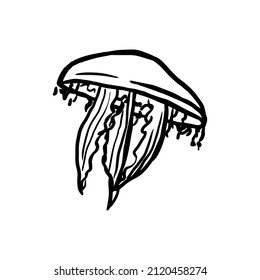 Sketch Stil Symbol der Quallen. handgezeichnete Vektorgrafik
