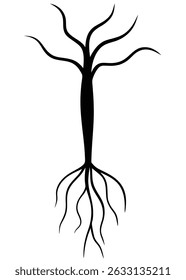 Sketch Style Root Vector Illustration – Hand-Drawn Organic Underground Design

