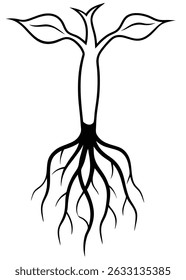 Ilustración vectorial de raíz de estilo de boceto: diseño subterráneo orgánico dibujado a mano

