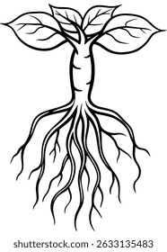 Sketch Style Root Vector Illustration – Hand-Drawn Organic Underground Design

