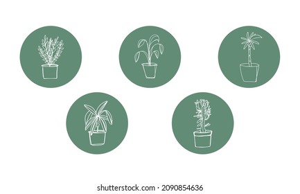 Sketch style various home plant icon, one line home garden sticker, highlights. Europhobia, Fig tree ficus, palm tree, rosemary, Zanzibar Gem. Vector line art, contour illustration.