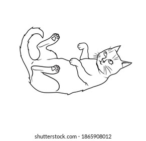 Sketch style vector illustration of a cat