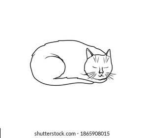 Sketch style vector illustration of a cat