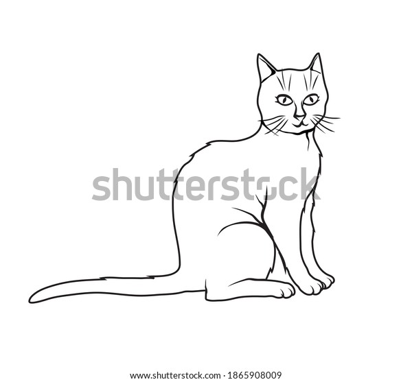 Sketch Style Vector Illustration Cat Stock Vector (Royalty Free ...