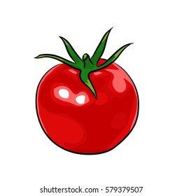 Sketch style vector illustrations of red tomatoes isolated on white background. 