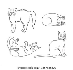 Sketch style vector set of cat illustrations