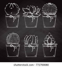 Sketch succulents in pots isolated on the chalkboard. Vector illustration.