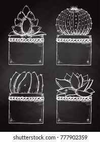 Sketch succulents in pots isolated on the chalkboard. Vector illustration.