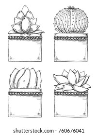 Sketch of succulents in pots. Vector illustration of a sketch style.