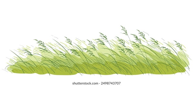 Sketch of summer field with wild cereals and grasses.
Hand drawn fragment of green meadow plants and wild herbs isolated on white background. Vector illustration.
