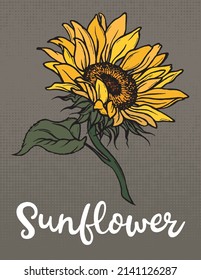 Sketch of sunflower. Hand drawn outline. Sunflower hand drawn vector collection. Color clipart. Hand-drawn vector. Color vector illustration with text.	
