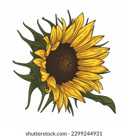 Sketch sunflower silhouette frame isolated on white background. Ukrainian symbols. Bright light color is perfect for patterns, banners, t-shirts and websites. Image of a beautiful sunflower flower