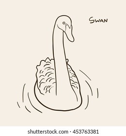 Sketch of swan on beige background. Art vector illustration