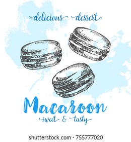 Sketch of sweet macaroons. Poster with macaroons. Vector illustration.