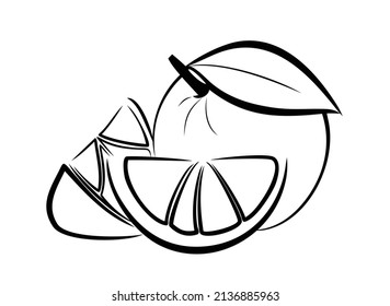 A sketch of a sweet orange.