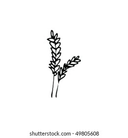 Sketch Of Tall Grass