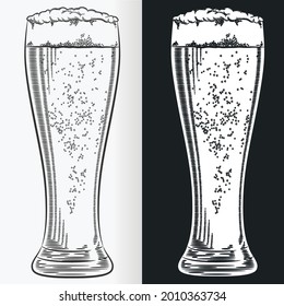 Beer glass types guide glasses and mugs Royalty Free Vector