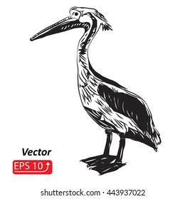 sketch tattoo black and white bird pelican , isolated on white background vector illustration