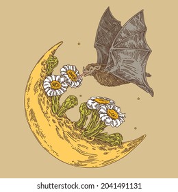 Sketch tattoo. Moon with flowers and flying bat. Color. Engraving style. Vector illustration.