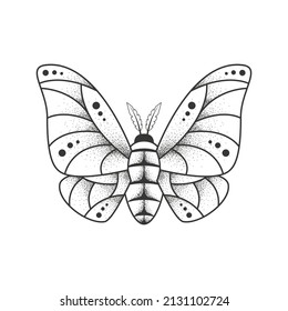 Sketch tattoo of outline insect. Isolated linear vector illustration of butterfly on a white background. Moth image stylized as angraving