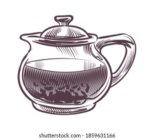 Sketch tea kettle. Hand drawn transparent glass teapot with leaves and hot drink in engraving style, monochrome morning or evening beverage for cafe or restaurant menu vector isolated single element