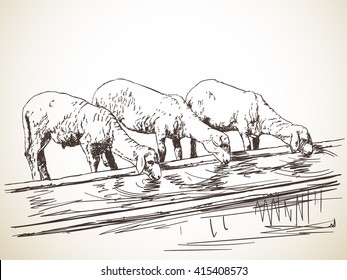 Esbozo de tres láminas de agua potable Ilustración dibujada por la mano