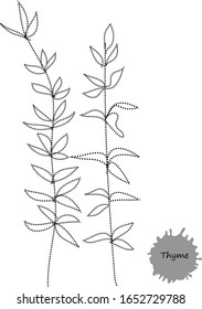 Stamm mit Skizze mit unterschiedlichem Stil, Vektorillustration 