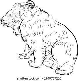 Sketch. Tibetan bear. Minimalistic style.