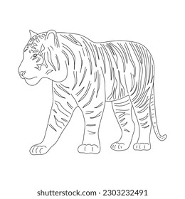 Sketch of Tiger drawn by hand. Vector hand drawn illustration.