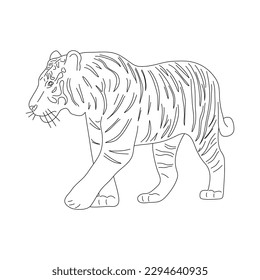 Sketch of Tiger. Hand drawn vector illustration.