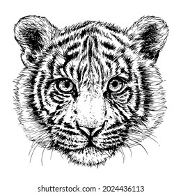Sketch tiger portrait. Hand drawn ink illustration. Black and white tiger head. 2022 New Year 
