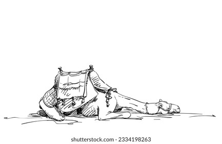 Sketch of tired resting camel with saddle, Desert animal hand drawn illustration