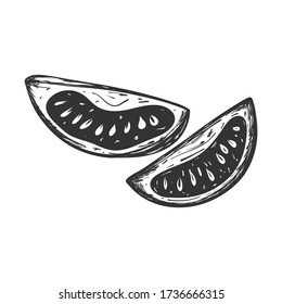 Sketch of a tomato slice. Hand drawn and isolated on white. Decorative element for menu design, recipes, cooking magazines, food packaging. Black and white vector illustration. Doodle