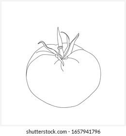 Tomatenübersicht.Schwarz-Weiß-Grafik.Vektorillustration