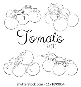 Sketch with tomatoes. Vector paint hand drawn composition with tomatoes in cartoon style. Isolated on white background.