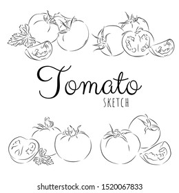 Sketch with tomatoes. Vector paint hand drawn composition with tomatoes in cartoon style. Isolated on white background.