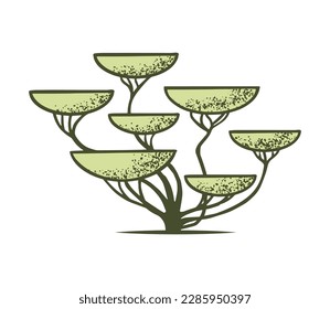 Sketch of topiary coniferous trees. Sheared thuja bansai - bowl. Geometric trees for advertising and landscape design. Isolated on white background. Vector