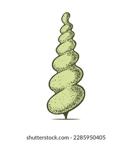 Skizze von Nadelbäumen. Sheared Thuja-Kegelspirale. Geometrische Bäume für Werbung und Landschaftsgestaltung. Einzeln auf weißem Hintergrund. Vektorgrafik