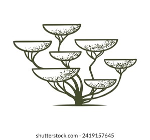 Sketch of topiary coniferous trees. Sheared thuja bansai - bowl. Geometric trees for advertising and landscape design. Isolated on white background. Vector