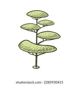 Sketch of topiary coniferous trees. Trimmed thuja. Geometric trees for advertising and landscape design. Isolated on white background. Vector