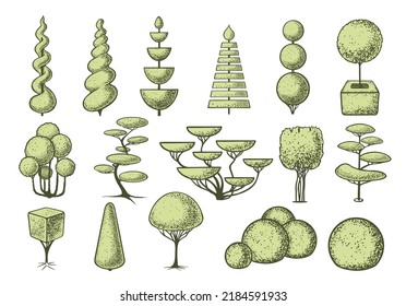 Skizze mit Topiarebäumen. Geometrische Bäume für Werbung und Landschaftsgestaltung. Einzeln auf weißem Hintergrund. Vektorgrafik.