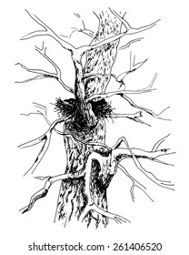 Sketch of tree. Bird in house. Old poplar tree with bird silhouette on white. Spring theme. Vector illustration
