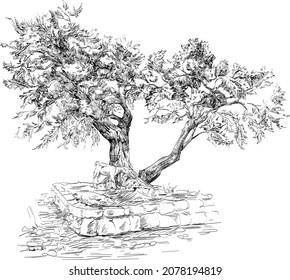 Sketch of the tree with goat in Toile de Jouy style black and white