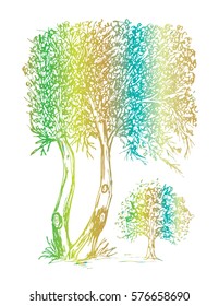 sketch tree hand drawing illustration.