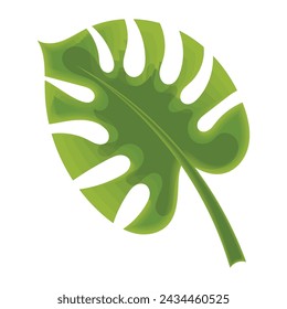 Sketch of a tree leaf icon Vector illustration