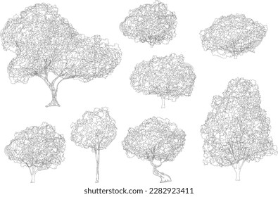 sketch tree line drawing, Side view, set of graphics trees elements outline symbol for architecture and landscape design drawing. Vector illustration in stroke fill in white. Tropical, street tree