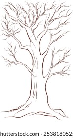 sketch of tree no leaves line art